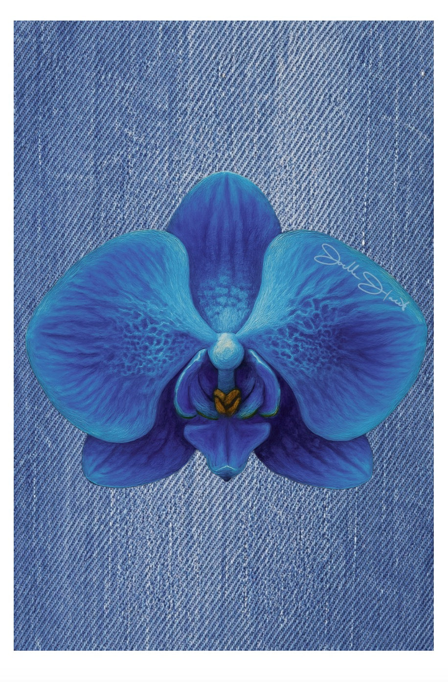 Orchid Collection
