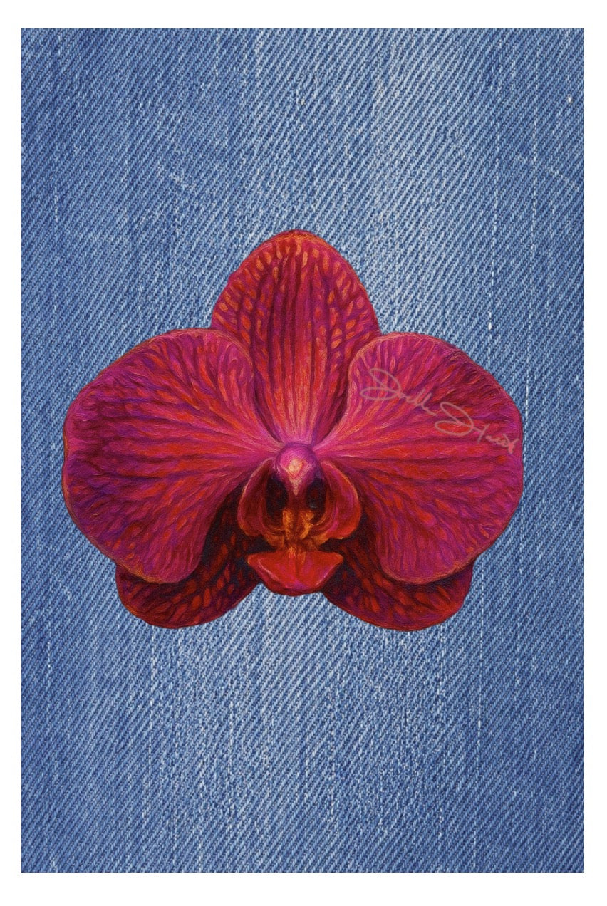 Orchid Collection