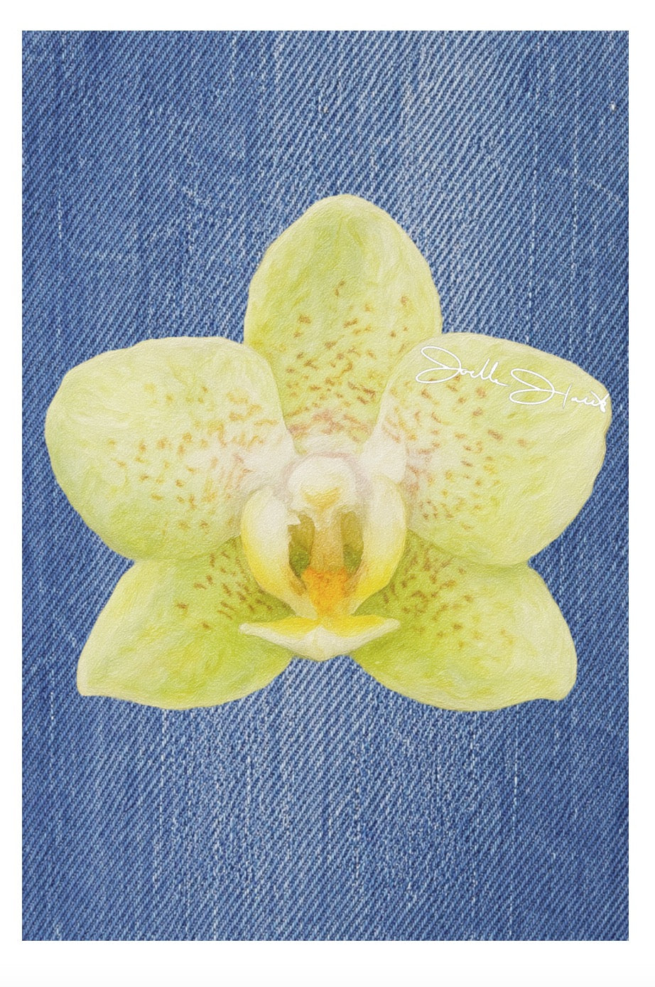 Orchid Collection