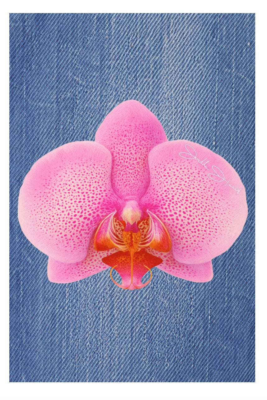 Orchid Collection
