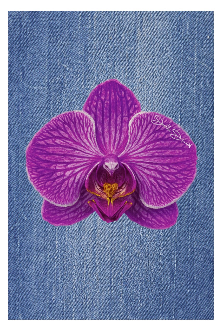 Orchid Collection