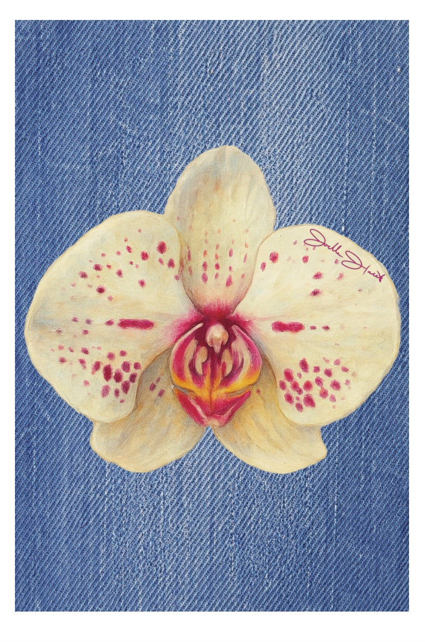Orchid Collection